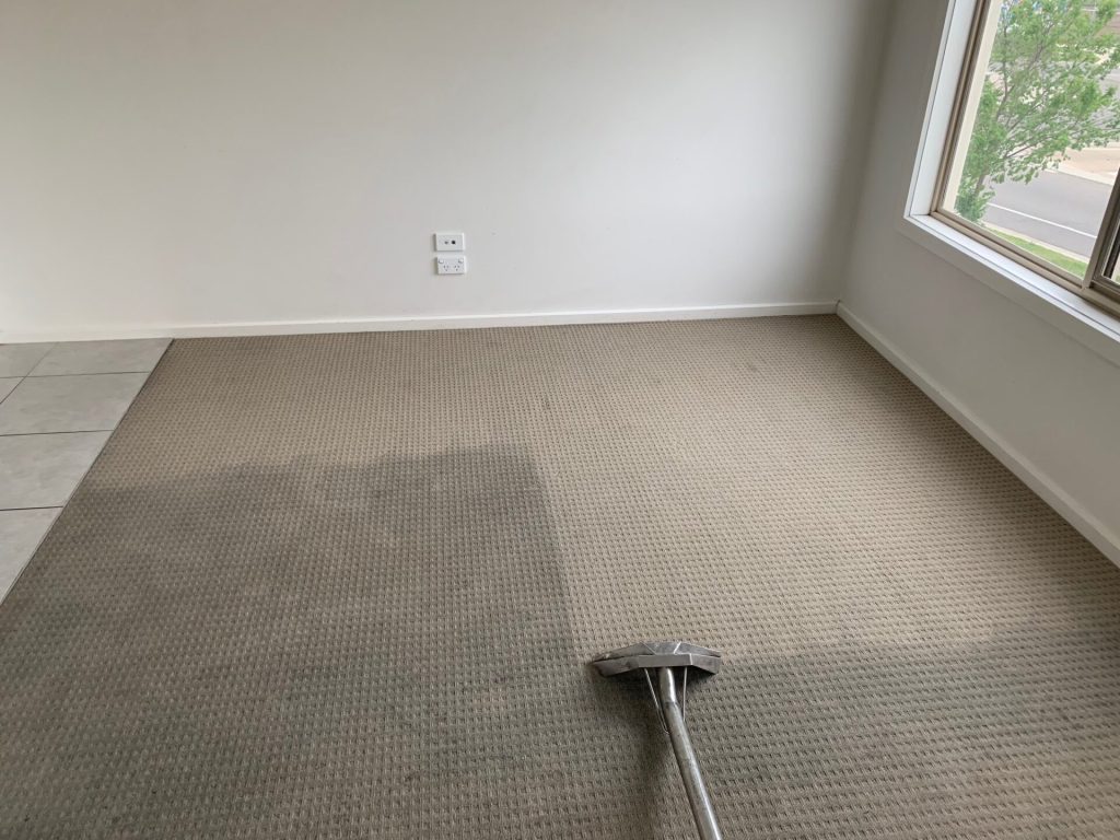 Carpet Cleaning