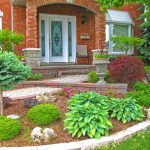Elevate Backyard Charm Through Professional Landscaping and Outdoor Aesthetics