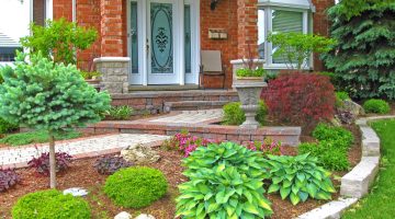 Elevate Backyard Charm Through Professional Landscaping and Outdoor Aesthetics