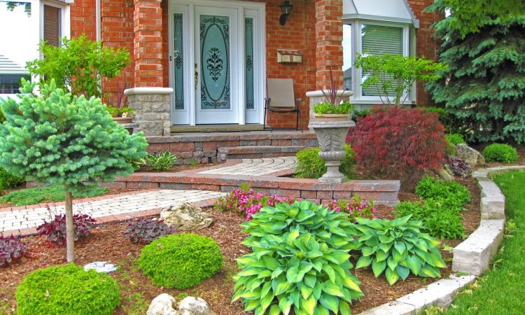 Elevate Backyard Charm Through Professional Landscaping and Outdoor Aesthetics