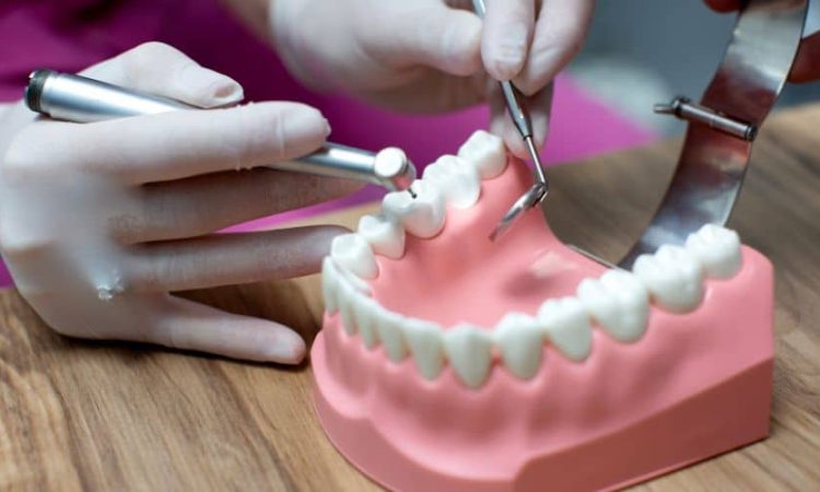 The Hidden World of Dental Biofilms and Their Impact on Your Oral Microbiome